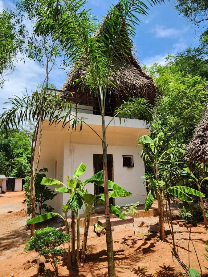Nebula Nest Cafe & Hostel Auroville Exterior foto