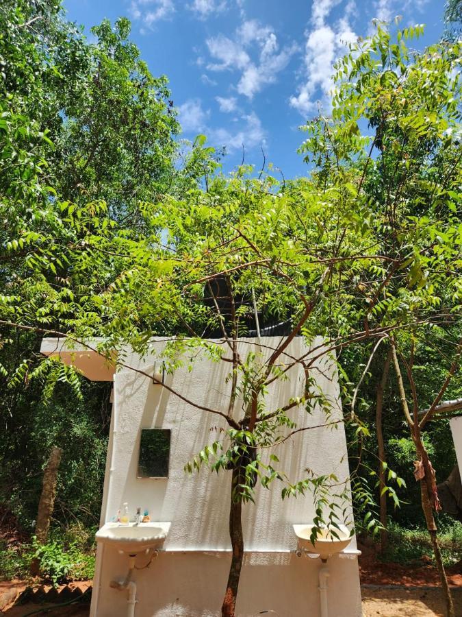 Nebula Nest Cafe & Hostel Auroville Exterior foto