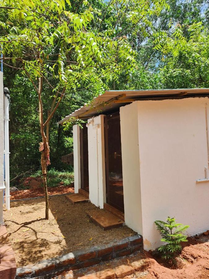 Nebula Nest Cafe & Hostel Auroville Exterior foto