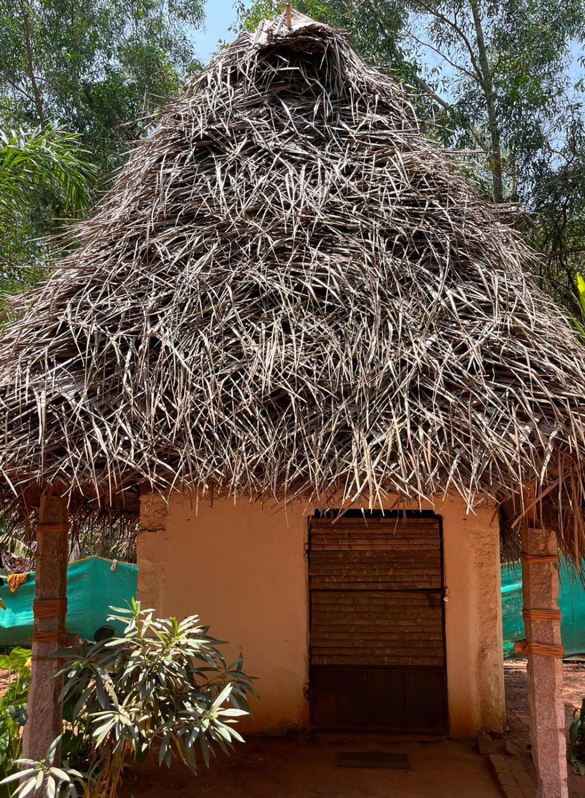 Nebula Nest Cafe & Hostel Auroville Exterior foto