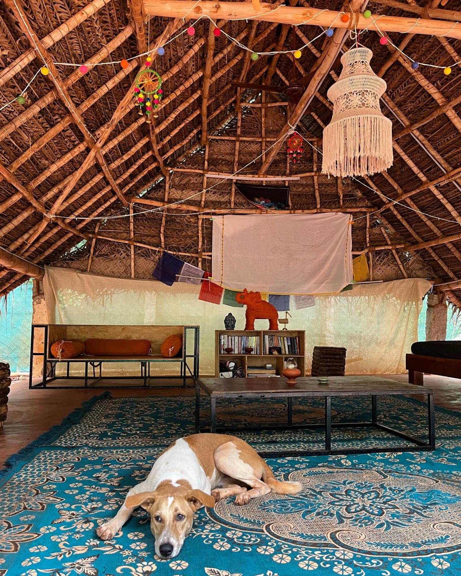 Nebula Nest Cafe & Hostel Auroville Exterior foto